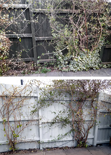 Fence before and after